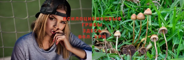 прущая мука Абинск