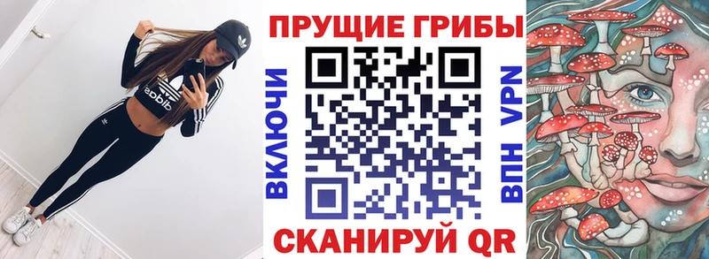 дарнет шоп  Котлас  Псилоцибиновые грибы мухоморы 